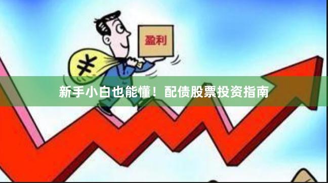 新手小白也能懂！配债股票投资指南